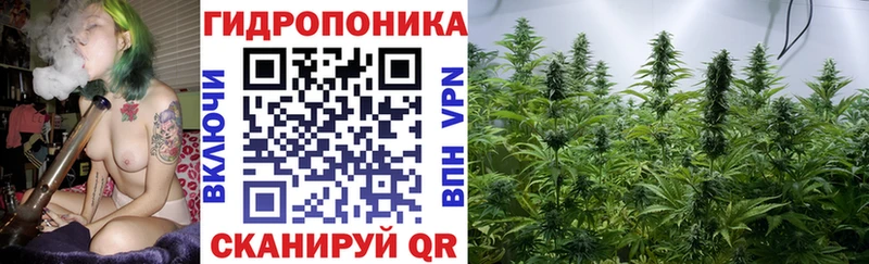 Где купить наркоту Ветлуга Галлюциногенные грибы Меф APVP Гашиш COCAIN МАРИХУАНА