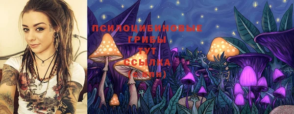 винт Алзамай